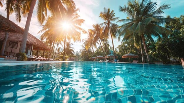 The swimming pool, ringed by palms and shaded loungers.